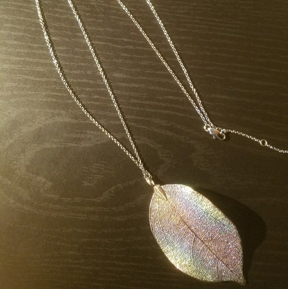 💥NEW ARRIVAL!💥 Delicate Leaf Long Necklace - Picture 3 of 3